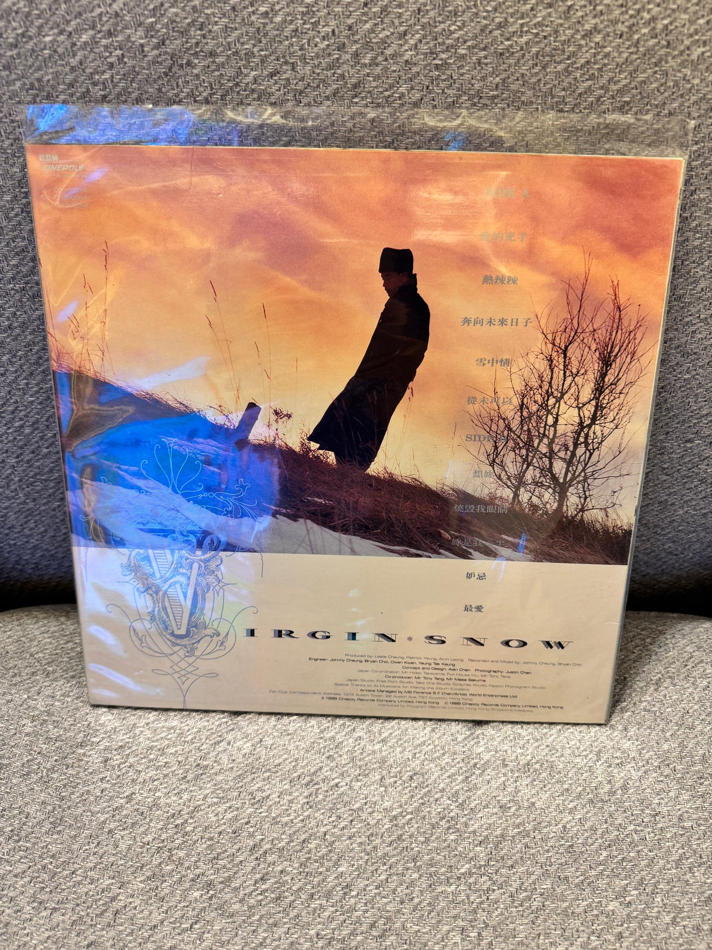 張國榮 Virgin Snow