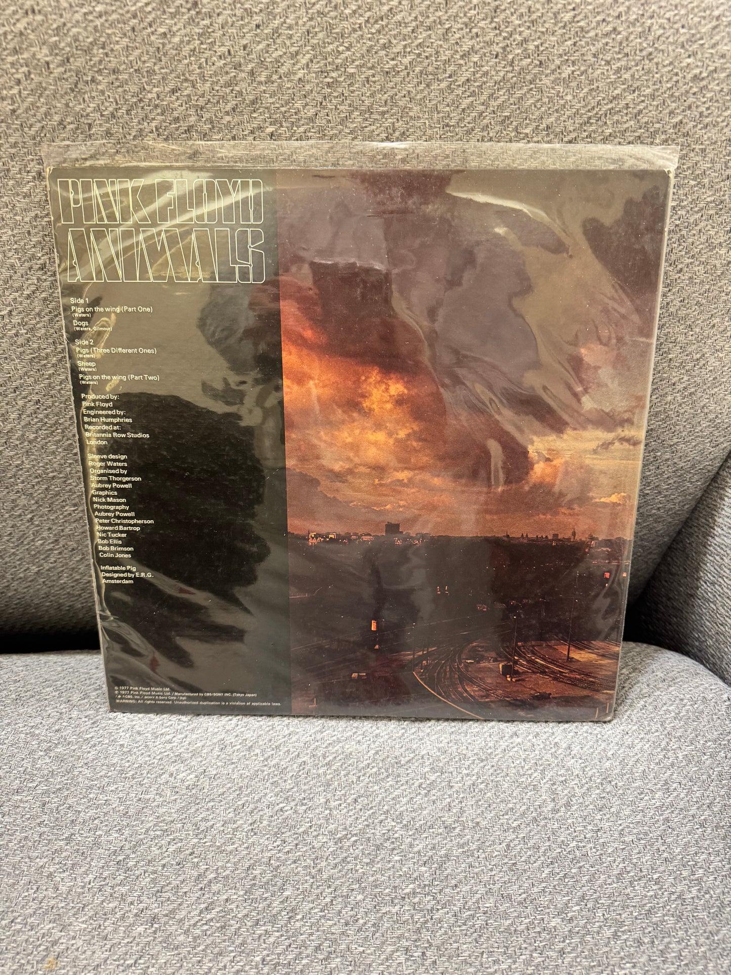 Pink Floyd – Animals