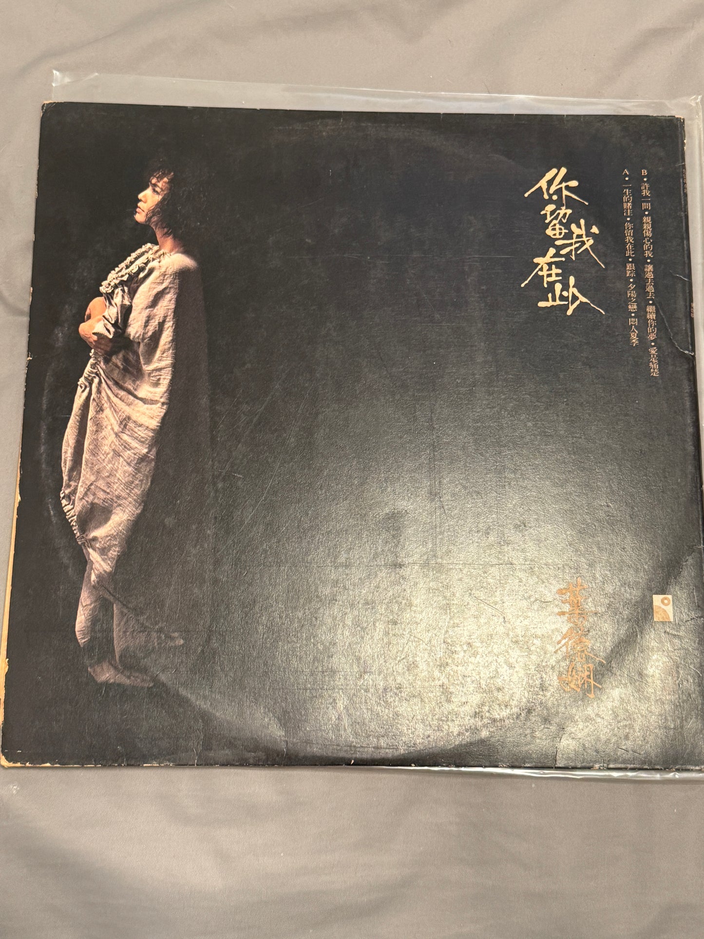 葉德嫻 – 你留我在此