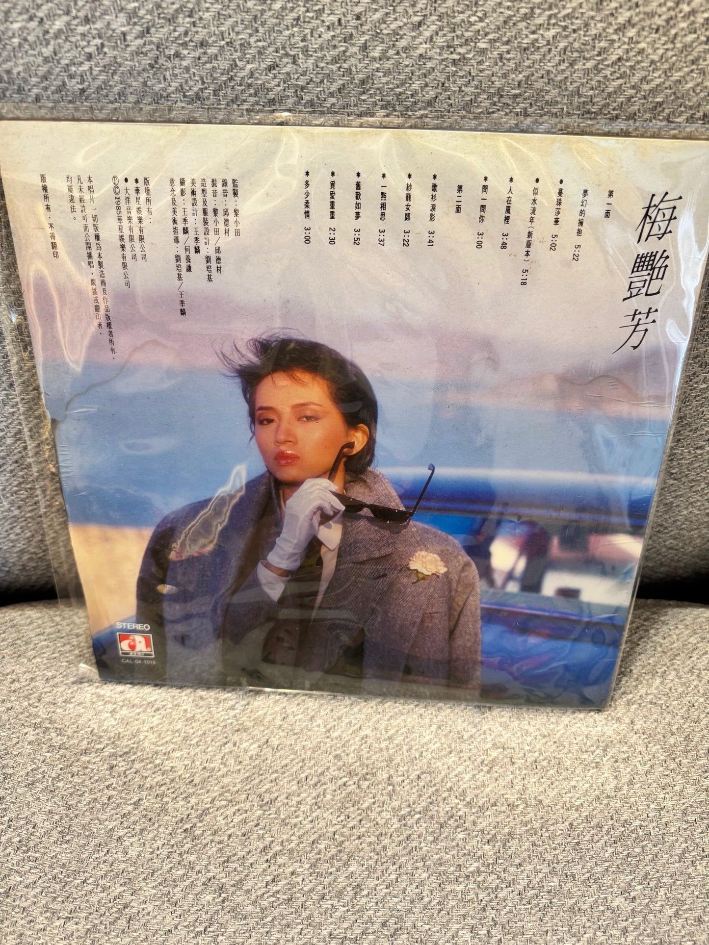 梅艷芳 梅艷芳