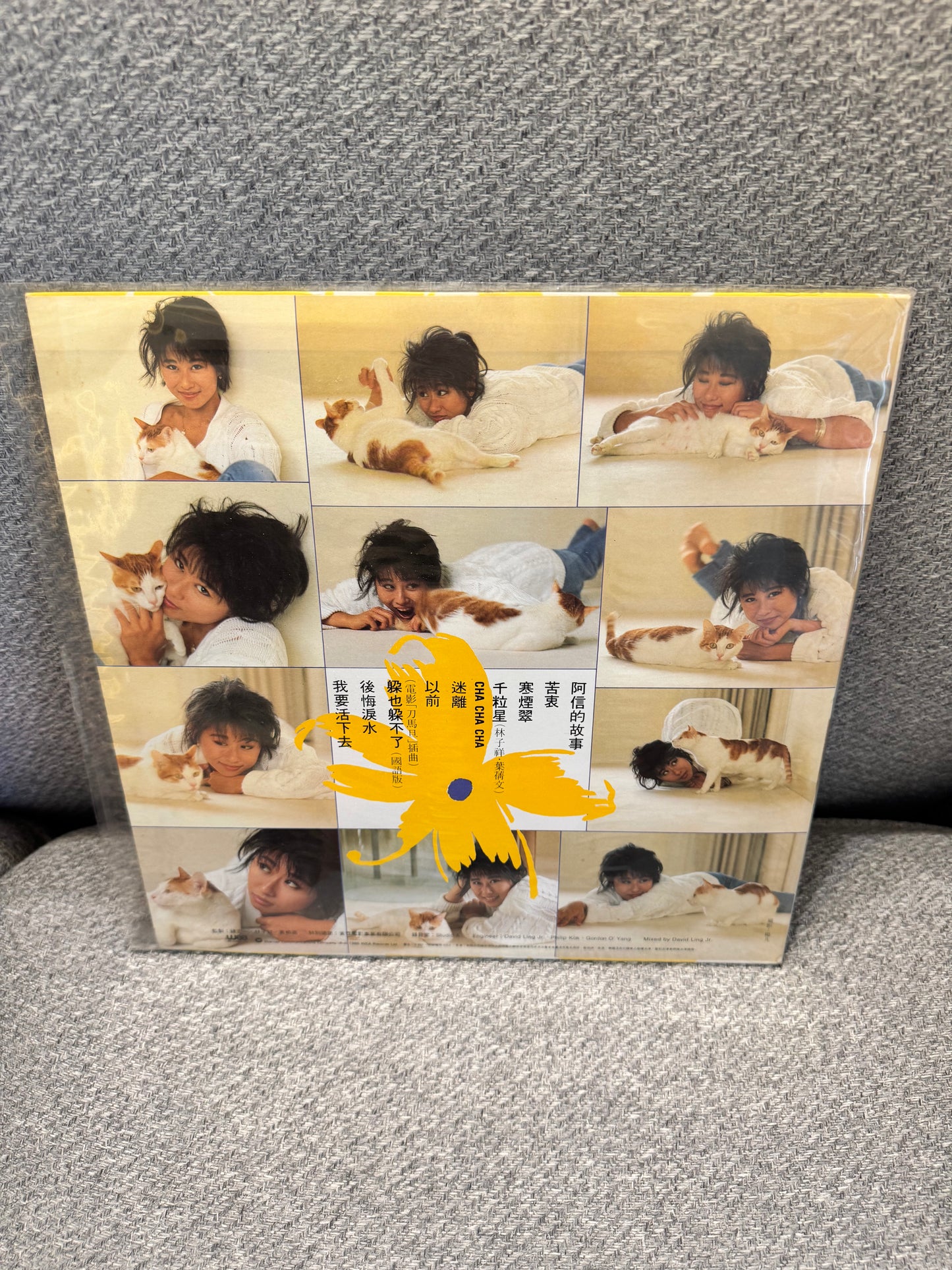 葉蒨文 Cha Cha Cha