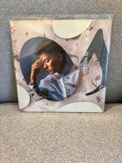 劉德華 只知道此刻愛你