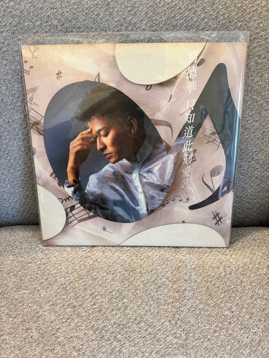 劉德華 只知道此刻愛你