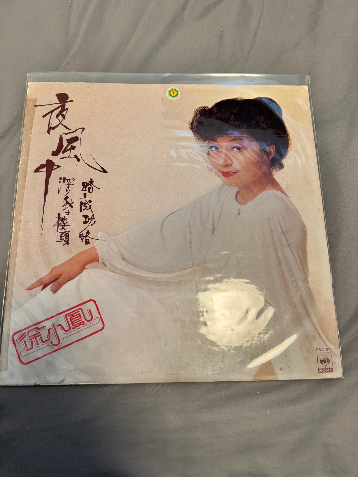 徐小鳳 – 夜風中