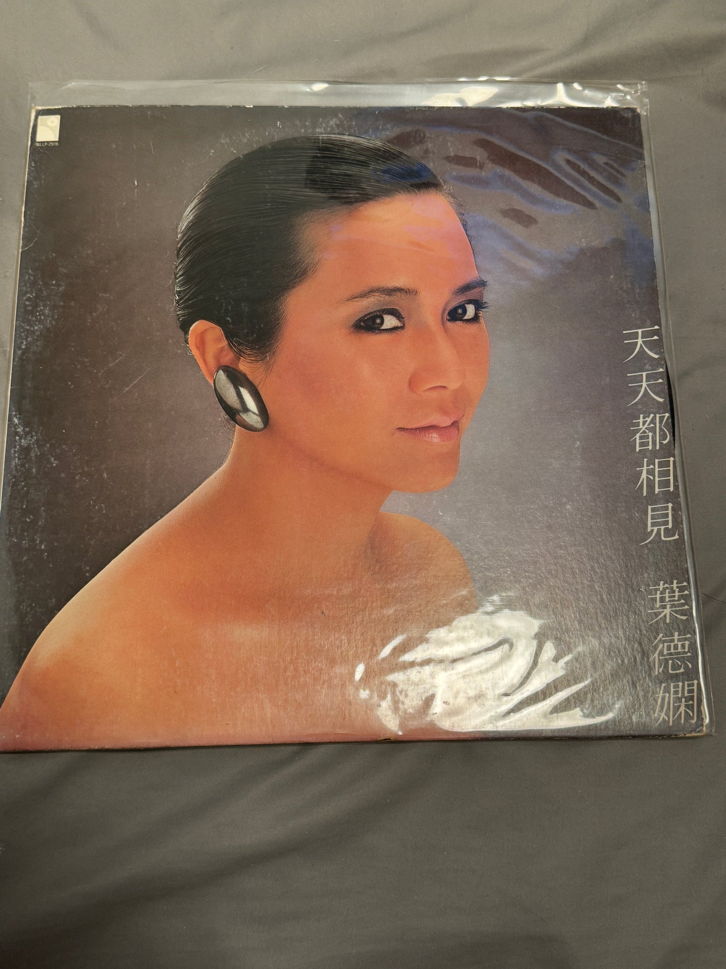 葉德嫻 – 天天都相見