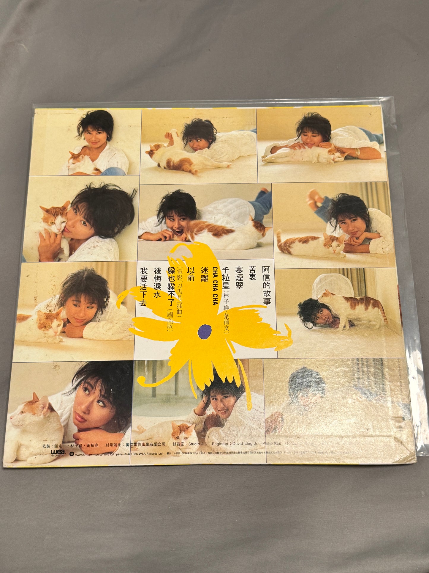 葉蒨文 – Cha Cha Cha