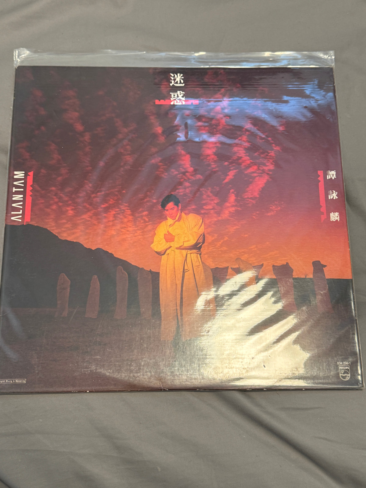 譚詠麟 – 迷惑